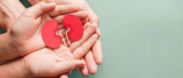 Papier Forme Rein Pour Adultes Enfants Sur Fond Bleu Texturé — Photo