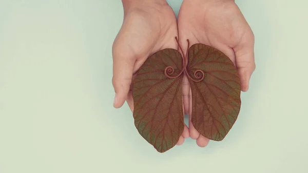 Mani Bambini Con Foglie Forma Polmone Cancro Polmoni Giornata Mondiale — Foto Stock