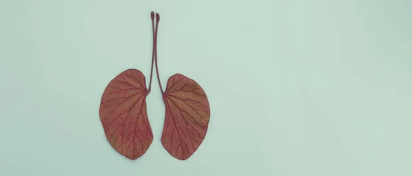 Lung Shaped Leaves World Tuberculosis Day Lung Cancer World Tobacco — Stockfoto