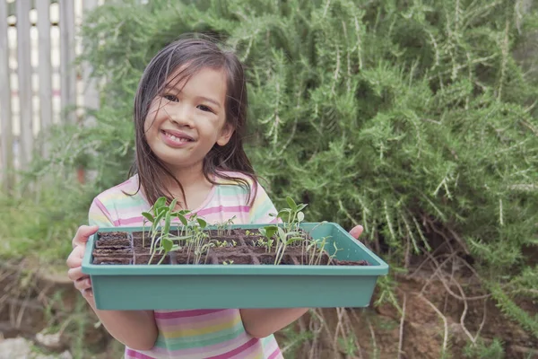 Chica Asiática Mixta Feliz Sosteniendo Bandeja Plántulas Jardinería Vegetal Actividad — Foto de Stock