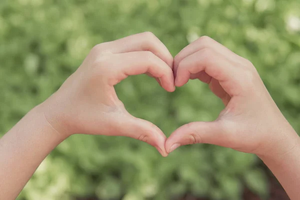 Manos Haciendo Forma Corazón Sobre Hierba Verde Día Tierra Día — Foto de Stock