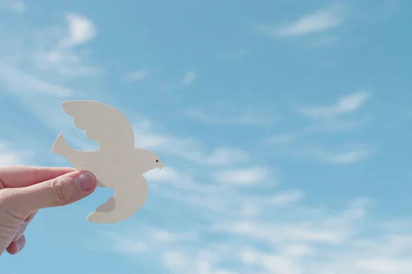 간헐천 하늘에 비둘기를 평화의 평화의 Csr 동물의 — 스톡 사진