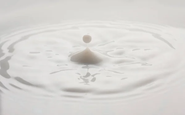 Drops splashing milk isolated on white background — Stock Photo, Image