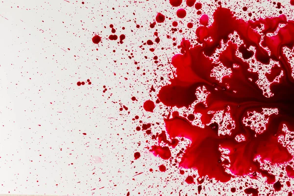 Macchia di sangue spruzzato su sfondo bianco — Foto Stock