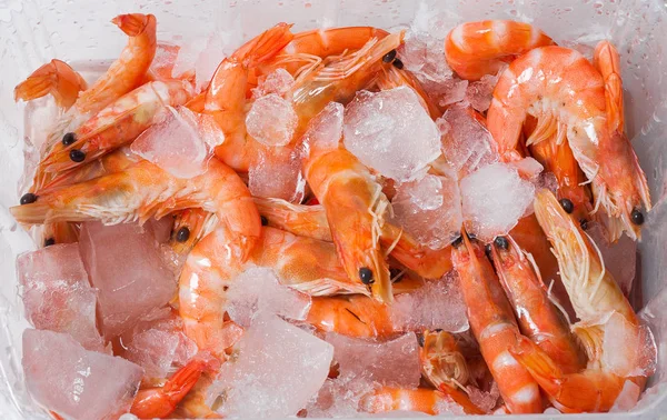 Shrimp cocktail background with a close up view of a group of fresh delicious refrigerated crustaceans as gourmet seafood for a party or dinner at a restaurant serving food from the sea. — Stock Photo, Image