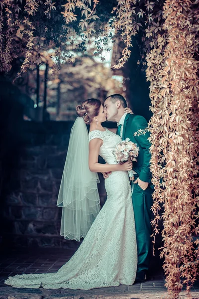 Noiva europeia e noivo beijando no parque — Fotografia de Stock