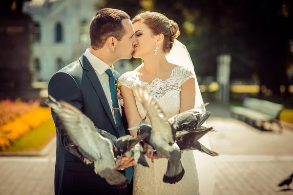 Menyasszony és a vőlegény felszabadító galambok templom kertjében — Stock Fotó
