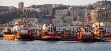 Cenova, İtalya, 23 Ocak 2020 - İtalya 'nın Ceneviz limanına demirlemiş römorkörler
