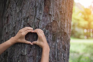 Üzerinde kadın eli olan ağaç kabuğu.