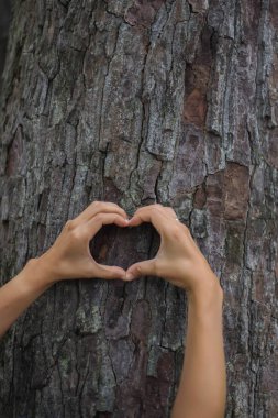 Üzerinde kadın eli olan ağaç kabuğu.