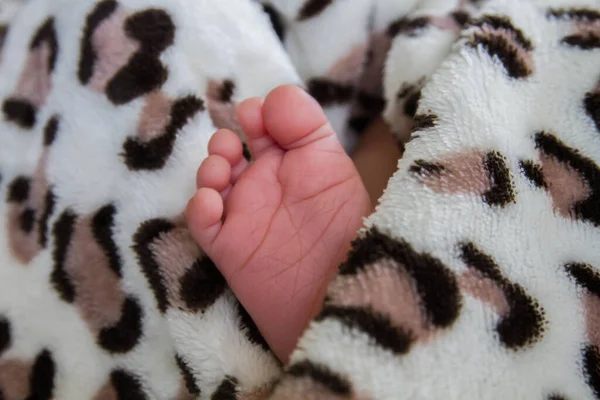 Pequeño Pie Bebé Recién Nacido — Foto de Stock