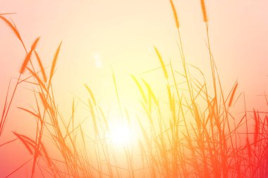 Dağda gün batımı