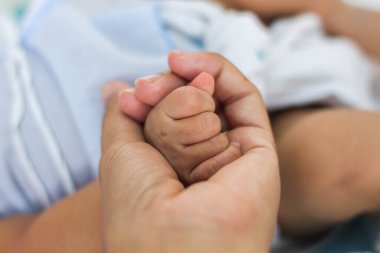 Yeni doğan küçük narin bir el - yakın portre