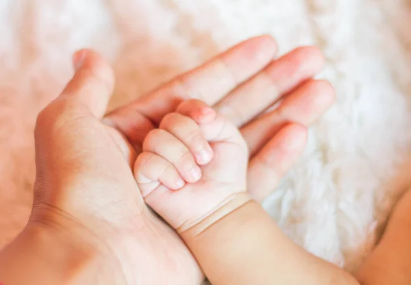 Small delicate little hand of newborn - close portrait