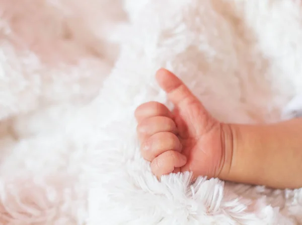 Small Delicate Little Hand Newborn Close Portrait — Stock Photo, Image