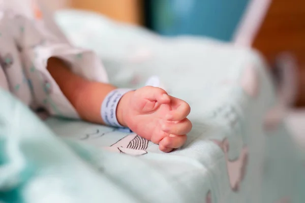 Small Delicate Little Hand Newborn Close Portrait — Stock Photo, Image