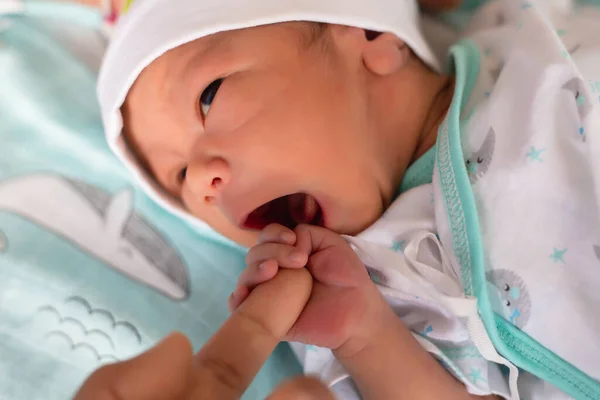 Маленькая Нежная Ручка Новорожденного Близкий Портрет — стоковое фото