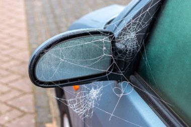 Hollanda 'da dondurucu sisli bir sabahta kış geldi, örümcek ağları ve donmuş araba camları.