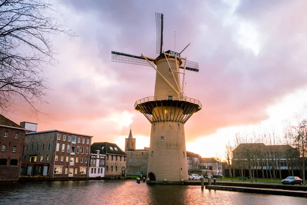 Mooie Windmolens Provincie Schiedam Zuid Holland Deze Hoogste Windmolens Ter — Stockfoto