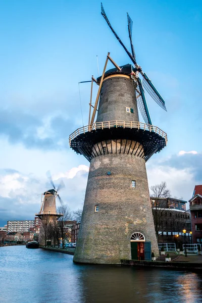 Güney Hollanda 'nın Schiedam eyaletindeki güzel yel değirmenleri, dünyanın en yüksek yel değirmenleri aynı zamanda brülörler olarak da bilinir. Cin endüstrisinde kullanılan tahılları öğütmek için kullanılırdı.. 