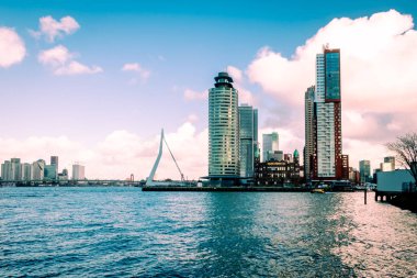 Rotterdam nehri Maas nehri ve erasmus köprüsü, yüksek gökdelenler ve birçok tekne..