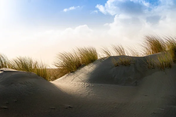 Landschap Van Duinen Duingras Nederland Aan Noordzee Bij Hoek Van — Stockfoto