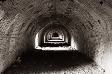 IJssel yağmur nehrinin yanındaki Fortmond doğa koruma alanında yarı yuvarlak kubbeleri ve taş taşlarıyla terk edilmiş eski bir tuğla fabrikasının içinde.