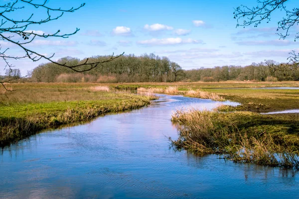 Drentse Het Vroege Voorjaar Die Kronkelt Door Het Prachtige Landschap — Stockfoto