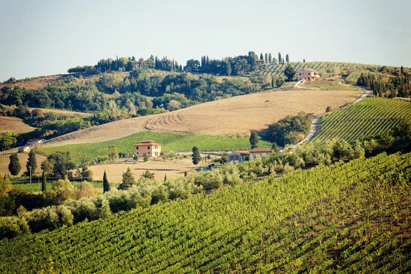 Vinhedos com casa de pedra, Toscana, Itália — Fotografia de Stock