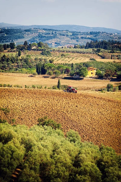 Typowe toskańskie wzgórza krajobraz z winnic, gajów oliwnych i tr — Zdjęcie stockowe