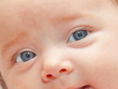 Yeni doğan mavi gözlü 