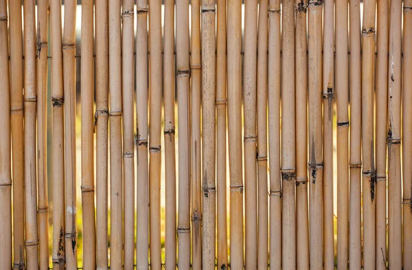 Бамбуковий паркан крупним планом фон . — стокове фото