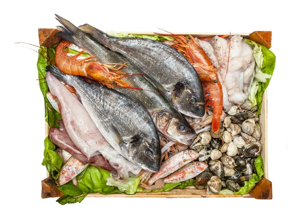 Box of fresh fish on white background. — Stock Photo, Image