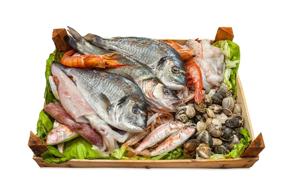 Box of fresh fish on white background. — Stock Photo, Image