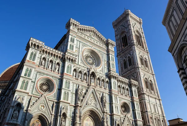Katedralen Santa Maria del Fiore – stockfoto