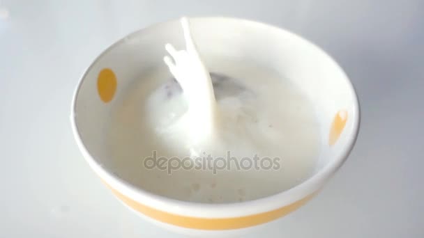 Biscuit au chocolat tombe dans une tasse de lait blanc. Images au ralenti super . — Video