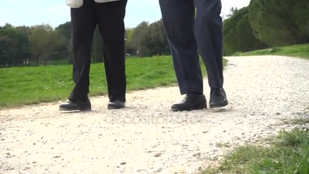 Gros plan sur les jambes d'un couple marchant dans le parc — Video