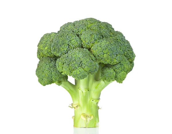 Raw Broccoli isolated on white background. — Stock Photo, Image