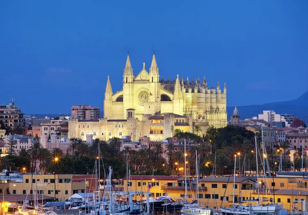 Palma de Mallorca katedral Seu Seo — Stok fotoğraf