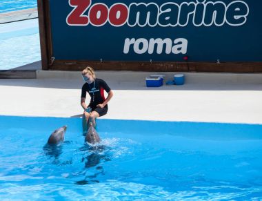 Zoomarine, Torvaianica, Roma su parkı.