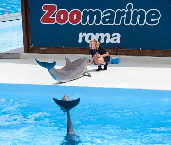 Zoomarine, parque acuático situado en Torvaianica, Roma . — Foto de Stock