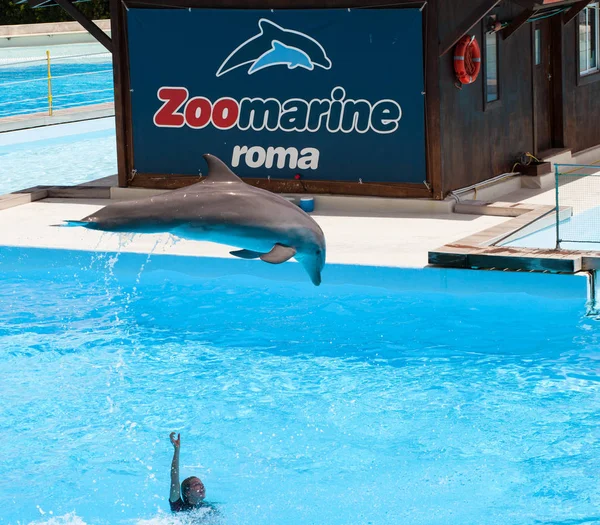 Zoomarine, parc aquatique situé à Torvaianica, Rome . — Photo