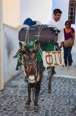 Eşek Santorini'de Bagaj Taşıma