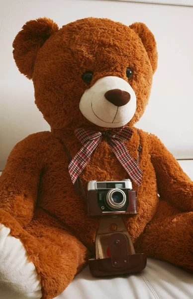 Urso de pelúcia com câmera de 35 milímetros vintage — Fotografia de Stock