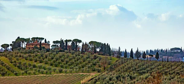 Paisaje toscano con cipreses, árboles y edificios antiguos . — Foto de Stock