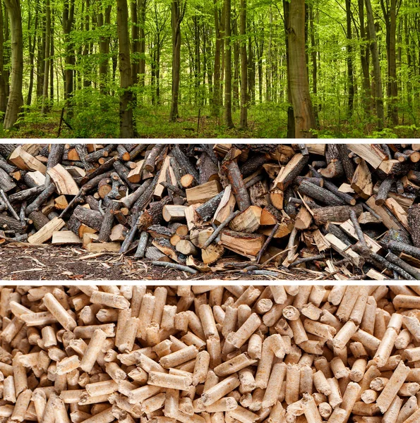 Wood pellets — Stock Photo, Image