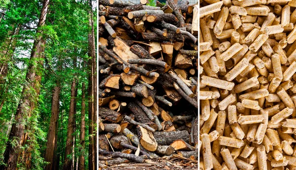 Wood pellets — Stock Photo, Image