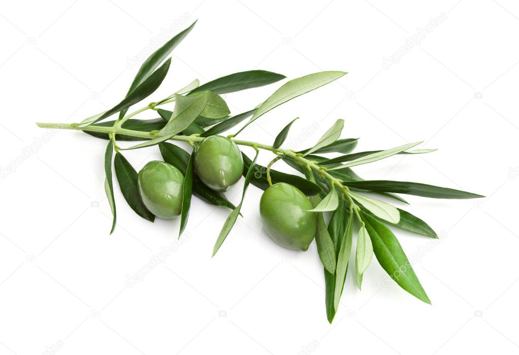Branch of green olives — Stock Photo © AntonioGravante 182651900