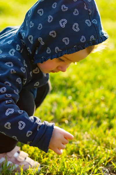 Babymeisje speelt en verzamelt madeliefjes. — Stockfoto