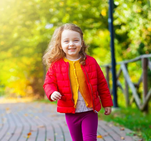 Imádnivaló kislány sétál a parkban egy őszi napon.. — Stock Fotó